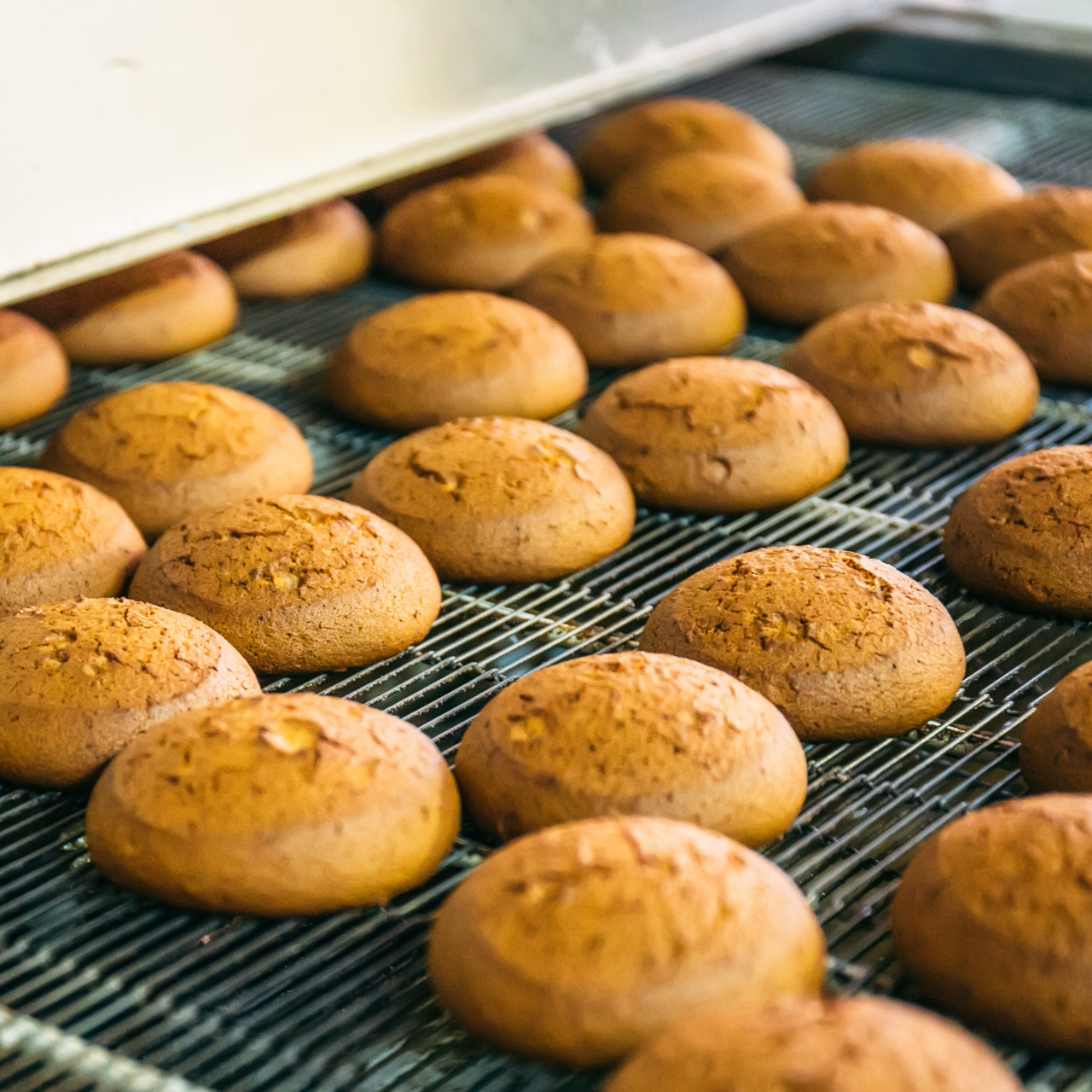 forestry machinery lifting lumber 